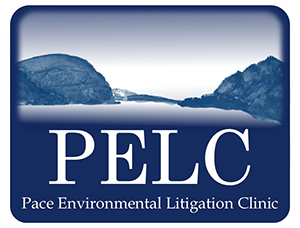 Pace Environmental Litigation Clinic logo