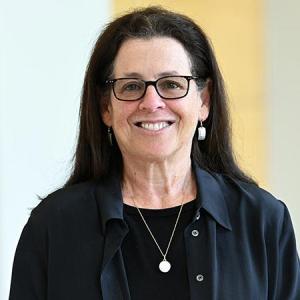 Jane Silverman, Adjunct Professor of Law at the Elisabeth Haub School of Law