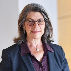 Karen L. Illuzzi Gallinari, Adjunct Professor of Law at the Elisabeth Haub School of Law